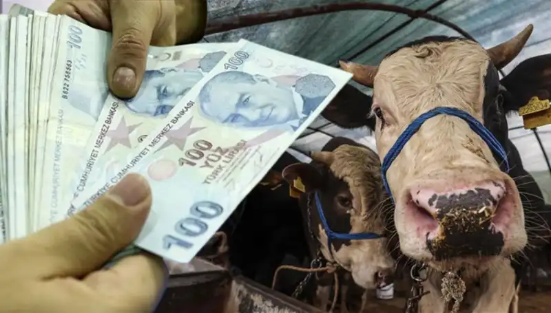 Haziran Ayı Maaşları Kurban Bayramı Öncesi Yatacak mı? Cevaplar Burada!