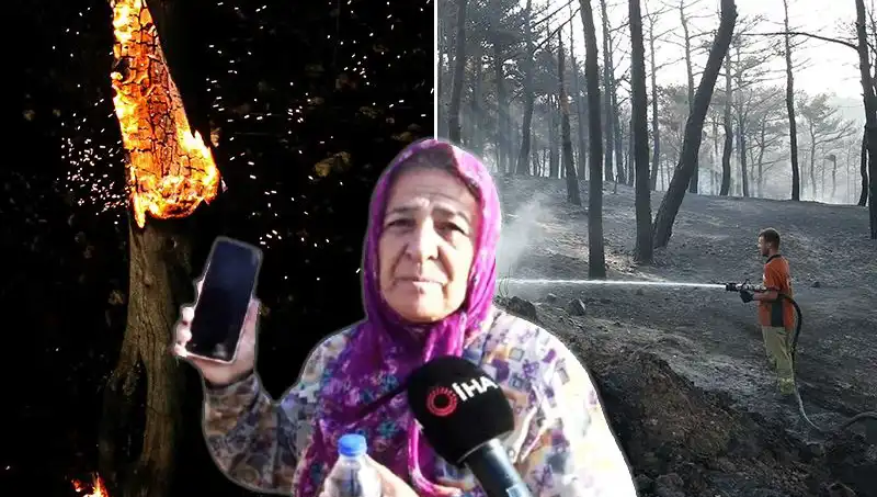 Çanakkale Orman Yangınları Kontrol Altına Alındı: Kurtulanlar Kimler?