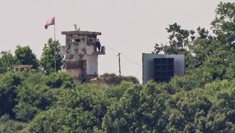 Kuzey Kore’den ABD’ye Tarihi Zeytin Dalı: Diplomasi Üzerine Yeni Bir Umut