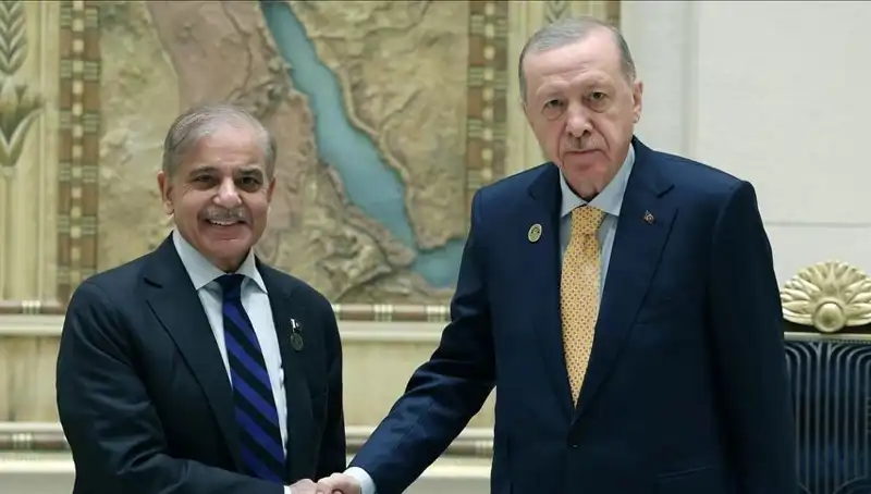 Cumhurbaşkanı Erdoğan, İstanbul'da Pakistan Başbakanı Şerif ile Neleri Tartışacak?