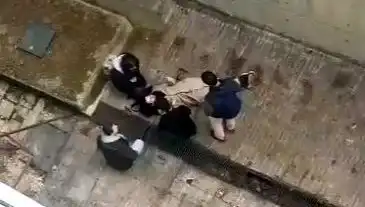 Kampüste Köpek Paniği: Öğrenci 4 Metreden Betona Düşerek Yaralandı