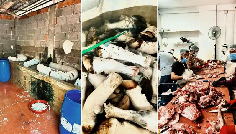 Adana'da Depoları Şaşırtan Mide Bulandıran Paça Operasyonu