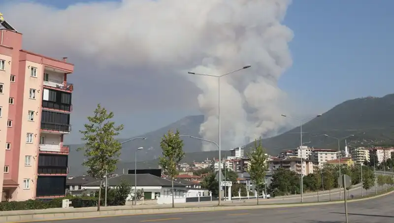 Denizli'de Orman Yangını: Şüpheli Gözaltına Alındı, Yangın Birkaç Saatte Kontrol Altına Alındı