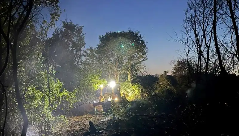 Edirne'de Korkutan Orman Yangını Kontrol Altına Alındı
