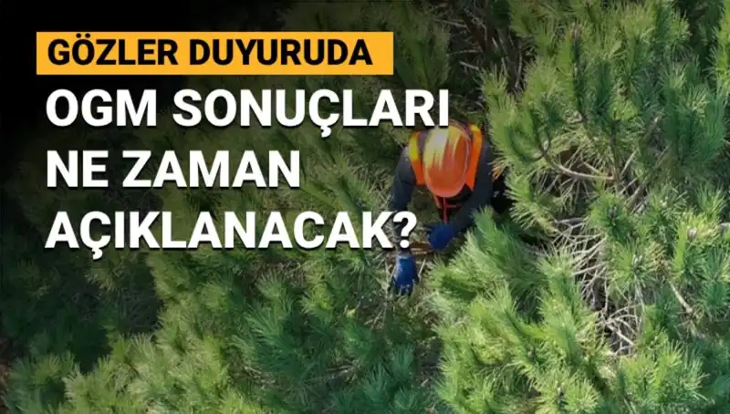 OGM Personel Alımı Duyurusu: 3.477 Sözleşmeli Pozisyonun Sonuçları Ne Zaman Açıklanacak?