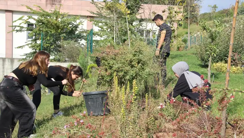 Düzce’nin Gururu: Yüzyılın Hayalini Gerçeğe Dönüştüren Proje