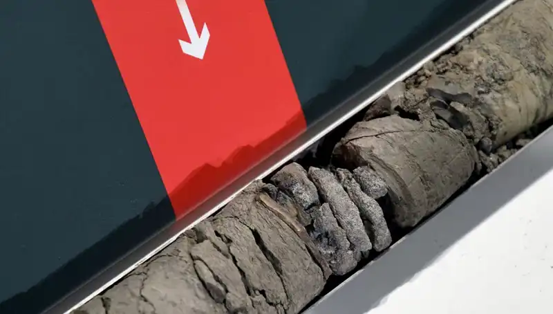 Müze Otoparkında Şaşırtıcı Dinozor Fosili Ortaya Çıktı!