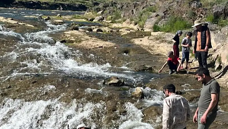 İnci Kefali Göçü: Doğanın Muazzam Gösterisini Kaçırmayın!