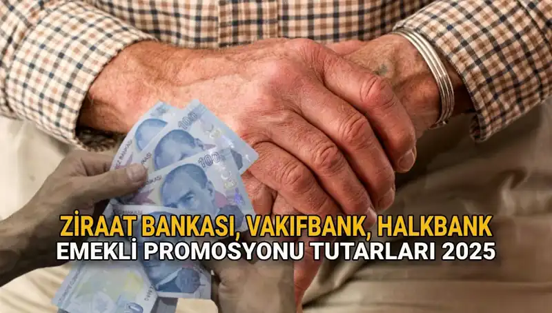 Kamu Bankalarının 2025 Emekli Promosyonları: Ziraat, Vakıfbank ve Halkbank Fırsatları