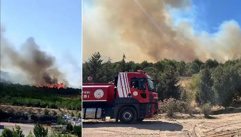 Gebze Orman Yangını: Doğanın Kalbine Korkutan Saldırı