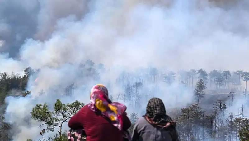 Bursa Yangınları Söndü, Ancak Hava Kirliliği Sorunu Devam Ediyor
