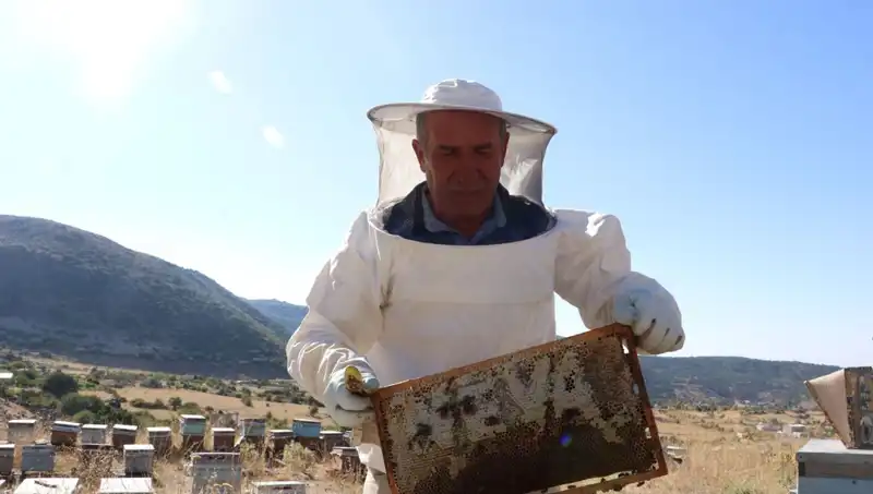 Mobilya İşinden Tarıma Geçiş: 25 Yıldır Ürün Yetiştiriyor, Bu Yıl 2 Ton Üretti!