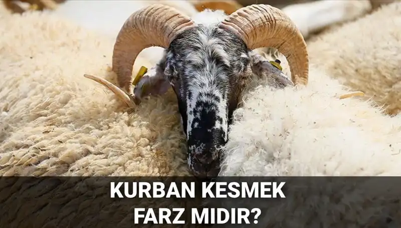 Kurban Kesmek Farz mı? Diyanet'ten Etkileyici Yanıt ve Şartlar