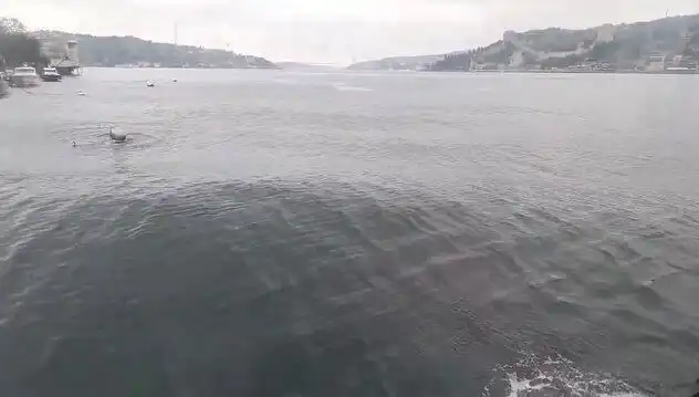İstanbul Boğazı'nda Dalgalar Yükseliyor: Doğa Oyununu Nasıl Oynuyor?
