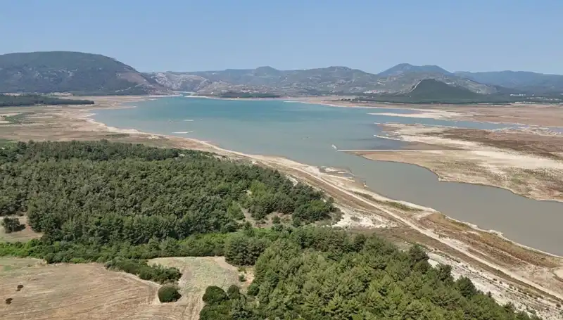 İzmir'de Tehlike Çanları Çalıyor: Üzücü Gerçekle Yüzleşme Zamanı