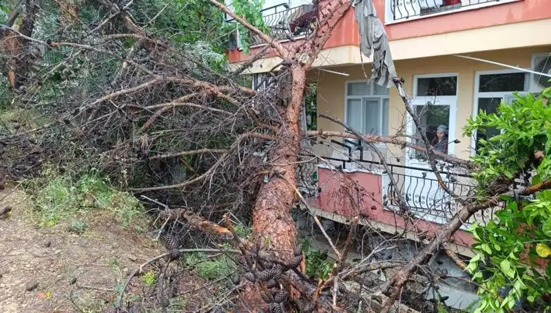 Yağmura Dayanamayan Bina, Beklenmedik Bir Şekilde Devrildi!